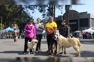 El espacio estará ubicado en la delegación Sauces y brindará atención médica y resguardo a animales en situación de vulnerabilidad.