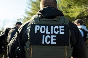 Las muertes de un ciudadano mexicano y un colombiano durante operativos migratorios provocaron presión política y exigencias de investigaciones independientes.