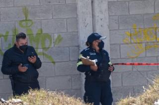 Vecinos realizaron el hallazgo entre las avenidas Las Partidas y Revolución.