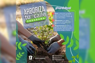 Con tu participación, contribuimos juntos a una Toluca más verde y sostenible.