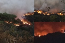 #Video: Incendio arrasa con todo en bosques de Tlatlaya