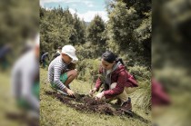 reforestación en Valle de Bravo