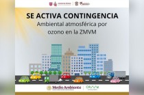 Por último, vehículos de carga local o federal, no inscritos en el Programa de Autorregulación, entre las 6:00 y 10:00 hrs y taxis con holograma 00, 0, 1 o 2 entre las 10:00 y 22:00 hrs.