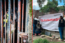 El perro fue valorado y resguardado de inmediato.