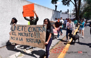 Marcha contra corrida de toros en Toluca