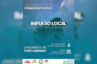 Impulso local