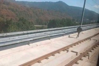 El personal de seguridad del tren llegó al lugar y logró subir al hombre a la unidad para retirarlo de las vías