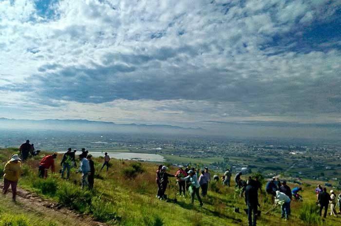 Video: Toluca ya suma 73 mil árboles plantados en 2026