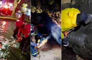 En diferentes zonas de Toluca, se desplegaron equipos de bomberos para auxiliar a la población ante incidentes como árboles y postes caídos