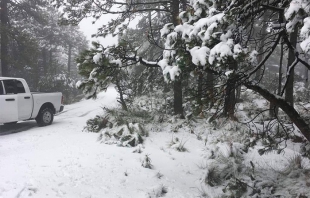 Caen primeras nevadas en #Edomex