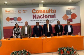 Consulta de SNTE