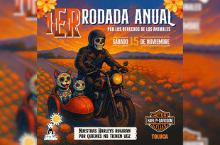 Stray Dog Support y Harley Davidson Toluca invitan a motociclistas y ciudadanos a participar en evento solidario