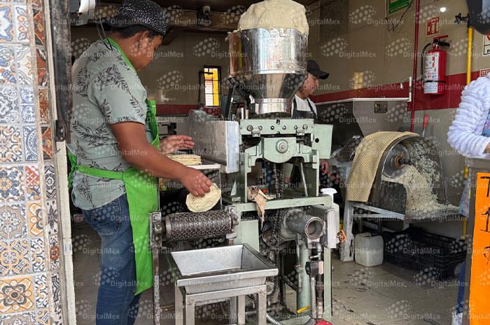 Venta de tortilla en el Valle de Toluca se mantiene estable, con precios que oscilan entre 18 y 22 pesos por kilo.