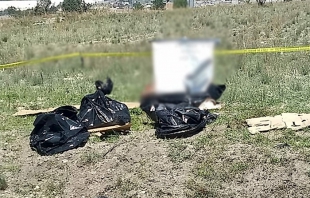 Hallan cuatro bolsas con restos humanos en Tepotzotlán