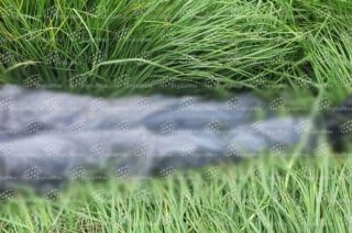 El cuerpo de un joven de aproximadamente 25 años fue localizado en la comunidad de San Mateo Atarasquillo, municipio de Lerma.