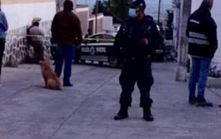 Varios vecinos se acercaron para ver lo que había sucedido, en el lugar se podían ver casquillos diversos.