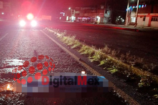 El conductor involucrado se dio a la fuga y no hay información sobre la unidad que lo arrolló.