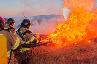 La Comisión Nacional de Áreas Naturales Protegidas y bomberos de Texcoco se desplazaron a la zona