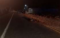 Al caer uno de ellos perdió la vida mientras que el más joven resultó con lesiones