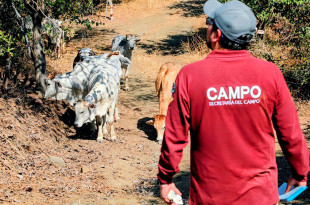 El resto, se terminará de colocar el 1 de febrero.