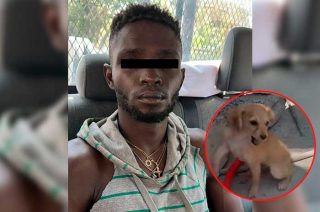 Video: Detienen a haitiano por golpear a lomito en Ecatepec