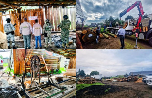 Las acciones buscan frenar la tala ilegal y preservar los recursos forestales del Bosque de Agua, vital para el suministro hídrico y la biodiversidad.