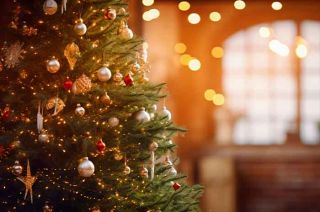 Visita la Feria Navideña en Metepec, el Bosque "Manantial Los Compadres" en Calimaya y más lugares para elegir tu árbol ideal.