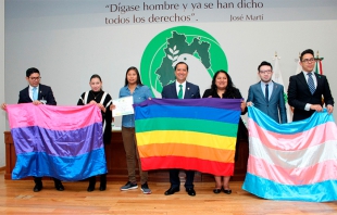 Falta de solidaridad frena avances políticas públicas para población LGBTTTI: Codhem