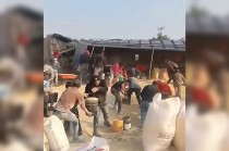 Un video difundido en redes sociales captó el momento en que varias personas sustraían el producto, cargándolo en costales e incluso utilizando vehículos y camionetas para transportarlo.