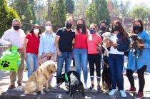 Primera Feria de Adopciones Metepec