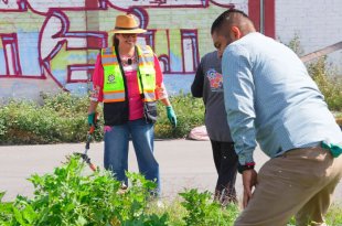 Trabajadores municipales intervinieron más de seis kilómetros en El Chamizal; la alcaldesa anunció que la zona será iluminada.