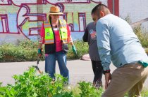 Trabajadores municipales intervinieron más de seis kilómetros en El Chamizal; la alcaldesa anunció que la zona será iluminada.