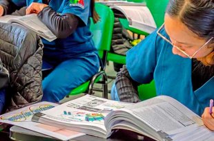 El 41.8% de estudiantes quedó por debajo del nivel básico en matemáticas, lectura y ciencias