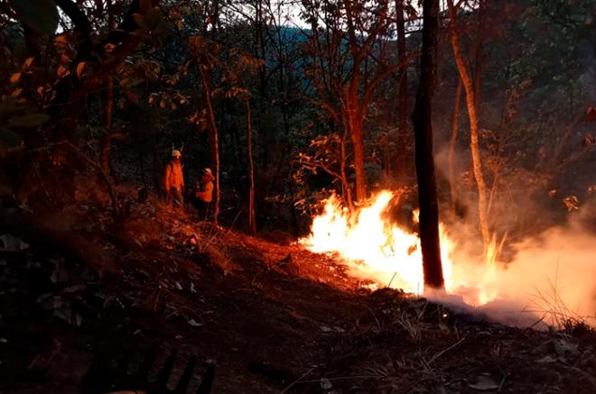El saldo preliminar es de 150 hectáreas de pastizal afectadas, con hora de inicio a las 18:00 horas del miércoles.