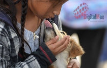 Promueve adopción Centro de Control Animal de Toluca