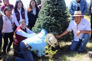 María Eugenia Rojano Valdés, Secretaria del Campo, aseguró que el Gobierno de la Maestra Delfina Gómez Álvarez seguirá impulsando esta importante actividad silvícola.