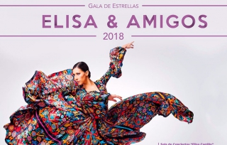 Llega a Edomex la Gala de Estrellas &quot;Elisa y amigos 2018&quot;