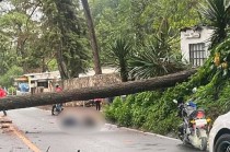 El accidente ocurrió este jueves sobre la carretera a Casas Viejas.