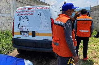 Personal del Centro de Control y Bienestar Animal (CCyBA) y elementos de la policía municipal, acudieron al predio