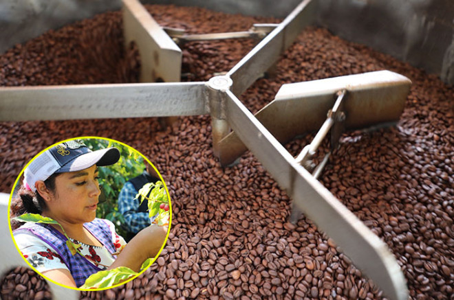 Más de 30 productores de municipios del sur del Estado de México participarán junto con cafetaleros de Oaxaca, Veracruz y Puebla.