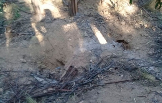 Hallan en Tepetlaoxtoc fosa clandestina con seis cadáveres