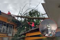 Las labores permitieron controlar el fuego, restablecer la circulación en las zonas afectadas y mantener el monitoreo ante las lluvias que continúan en el municipio.