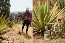 La producción de destilados de agave en el Estado de México se realiza principalmente en los municipios de Coatepec Harinas, Malinalco, Ocuilan, Tenancingo, Tonatico, Zacualpan y Zumpahuacán.