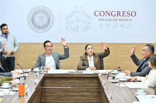 El dictamen fue votado durante la segunda sesión de trabajo sobre las tres iniciativas presentadas en la materia.