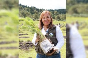 Jornada de reforestación en San Pedro Atlapulco, Ocoyoacac.