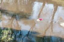 Flotaba sobre las aguas negras del Río Lerma