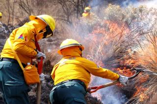 Las autoridades estatales y municipales deben mejorar sus estrategias y equipo para atender los incendios forestales en temporadas de altas temperaturas.