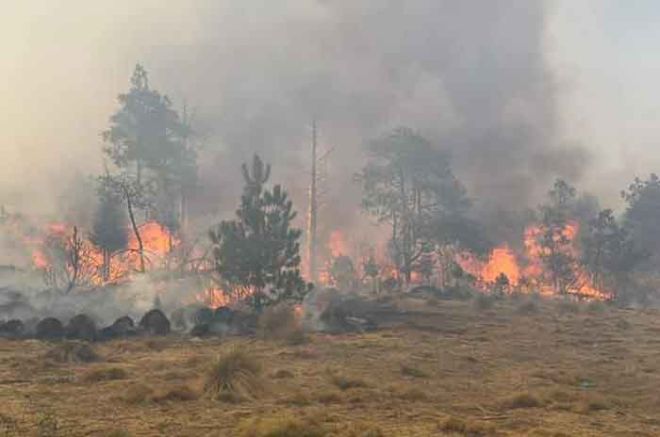 El incendio está cercano a zona de viviendas.