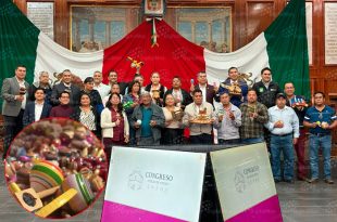 El Congreso del Estado de México aprobó proteger la técnica artesanal del juguete tradicional de madera elaborado en San Antonio la Isla.