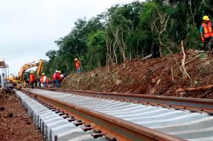 El juzgado señala que las obras iniciaron sin contar antes con la Manifestación de Impacto Ambiental (MIA).